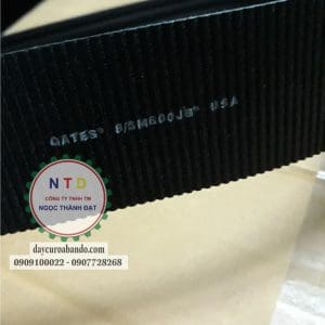 Dây curoa GATES 8/5M600JB