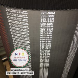 Dây curoa STEIGENTECH 920S8M