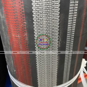 Dây curoa Steigentech 3800-20M