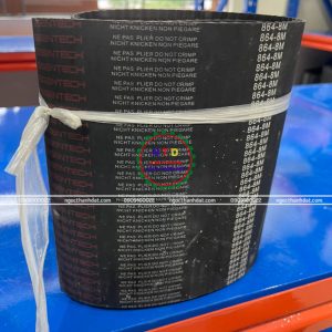 Dây curoa Steigentech 864-8M