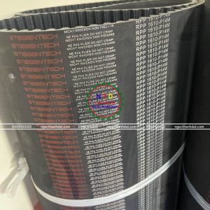 Dây curoa 1610-14RPP