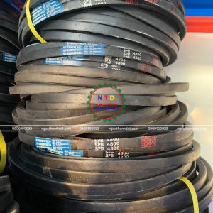 Dây curoa Steigentech SPB4800