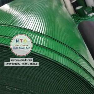 Băng tải PVC xanh 5MM BỰC THANG