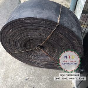 Băng tải cao su 12MM