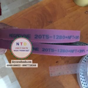 Dây curoa 20T5-1280-3APL