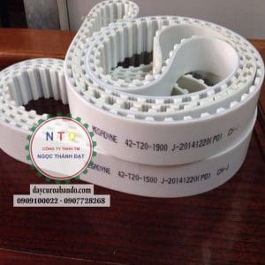 Dây curoa 43T20-1900