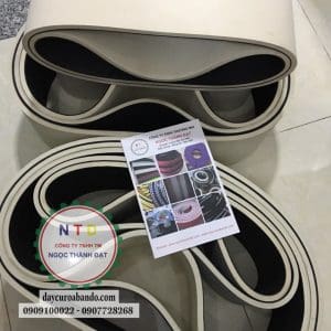 Dây curoa 14X220X1230