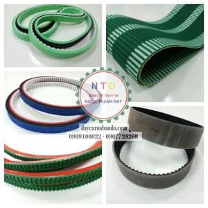 Dây curoa T10-DÁN MÚT