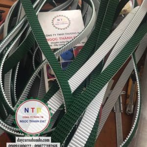 Dây curoa S8M-6000-GAI