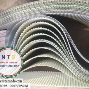 Dây curoa MEGADYNE 100AT20-3000