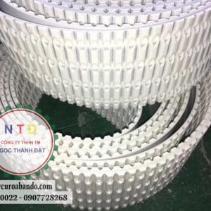 Dây curoa MEGADYNE DT10-1350