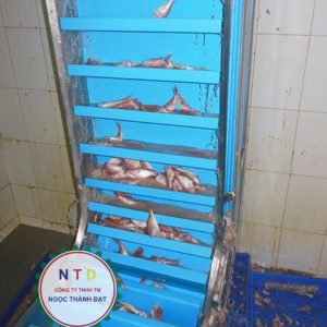 Băng tải PU THỦY SÃN