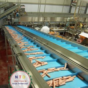 Băng tải PU ĐÔNG LẠNH