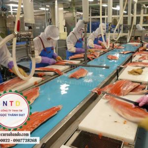 Băng tải PU THỰC PHẨN