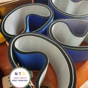 Băng tải thủy sản và rau củ quả