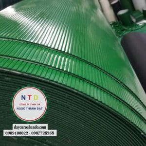 Băng tải PVC