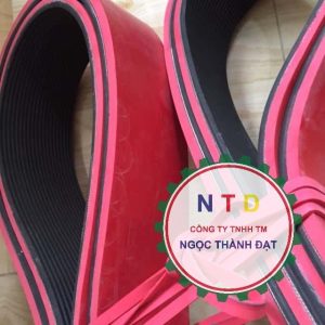 Dây curoa 1120PL-8APL