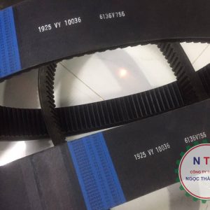 DÂY CUROA BANDO 1925VY10036