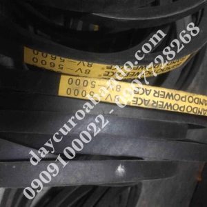 Dây curoa Bando 8V5000