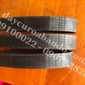 Dây curoa Gates 246-3M