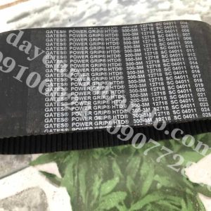 Dây curoa Gates 300-3M