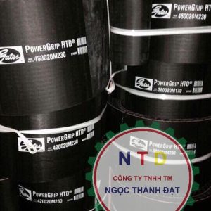 Dây curoa Gates 4200-20M-290