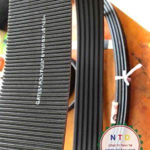 Dây curoa Gates 611M-1600