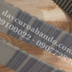 DÂY CUROA GATES AT10-1300