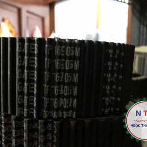 DÂY CUROA GATES D5M1690