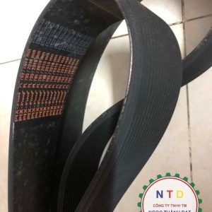 Dây curoa Pix 795PL