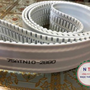 DÂY CUROA PU 75-ATN10-2880