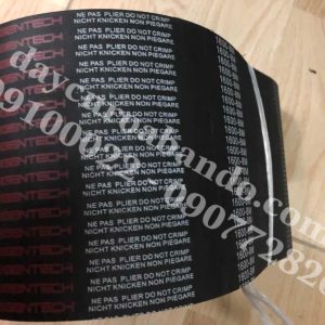 DÂY CUROA STEIGENTECH 1600-8M