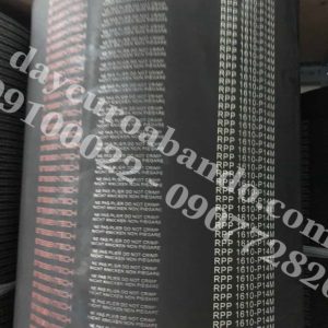 DÂY CUROA STEIGENTECH 1610-RPP14M