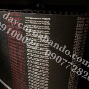 DÂY CUROA STEIGENTECH 2800-14M