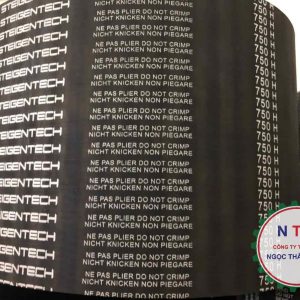 DÂY CUROA STEIGENTECH 750H