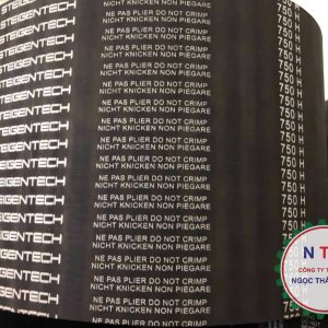 DÂY CUROA STEIGENTECH 750H