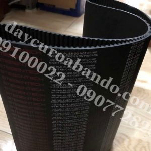 DÂY CUROA STEIGENTECH S5M800