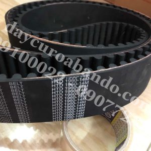 DÂY CUROA Sundt 1960-14M