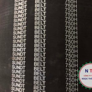 DÂY CUROA SUNDT 750H