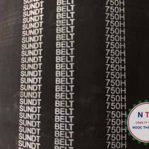 DÂY CUROA SUNDT 750H