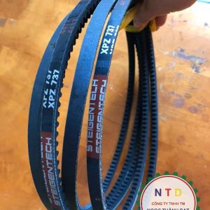 Dây curos Steigentech XPZ737