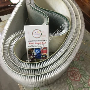 Băng tải cấy cước