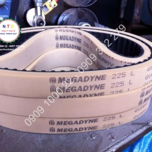 Dây curoa 225L-4APL