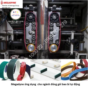 Dây curoa 560-T10-25-5APL